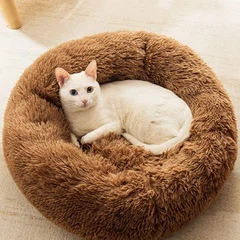 Tessut favur l-annimali domestiċi